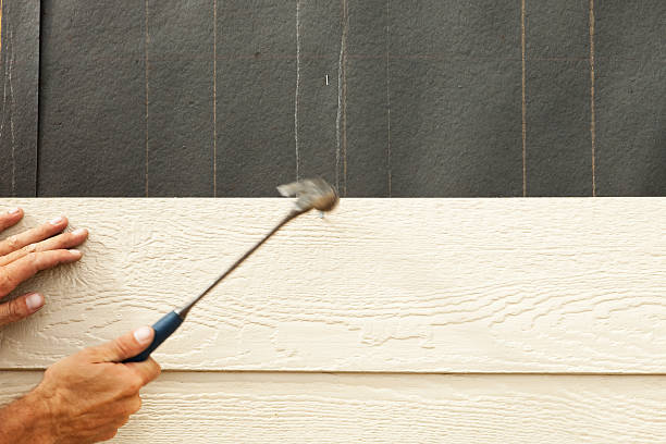 Best Composite Siding  in Avondale Estates, GA